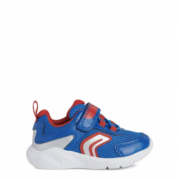 Baby Boy's Royal Blue and Red Sneakers