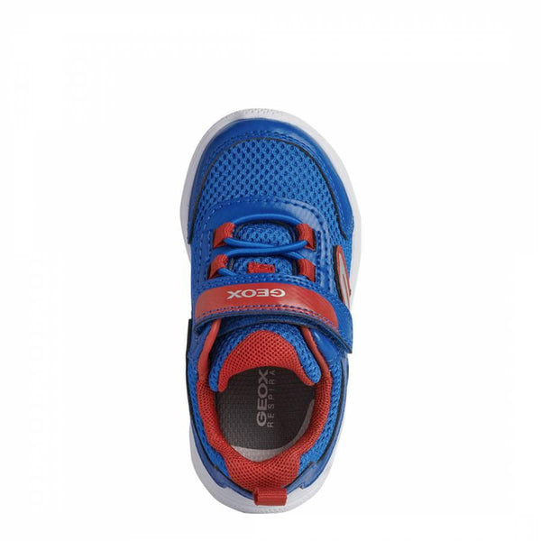 Baby Boy's Royal Blue and Red Sneakers